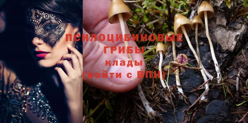 купить  сайты  Конаково  Галлюциногенные грибы Magic Shrooms 